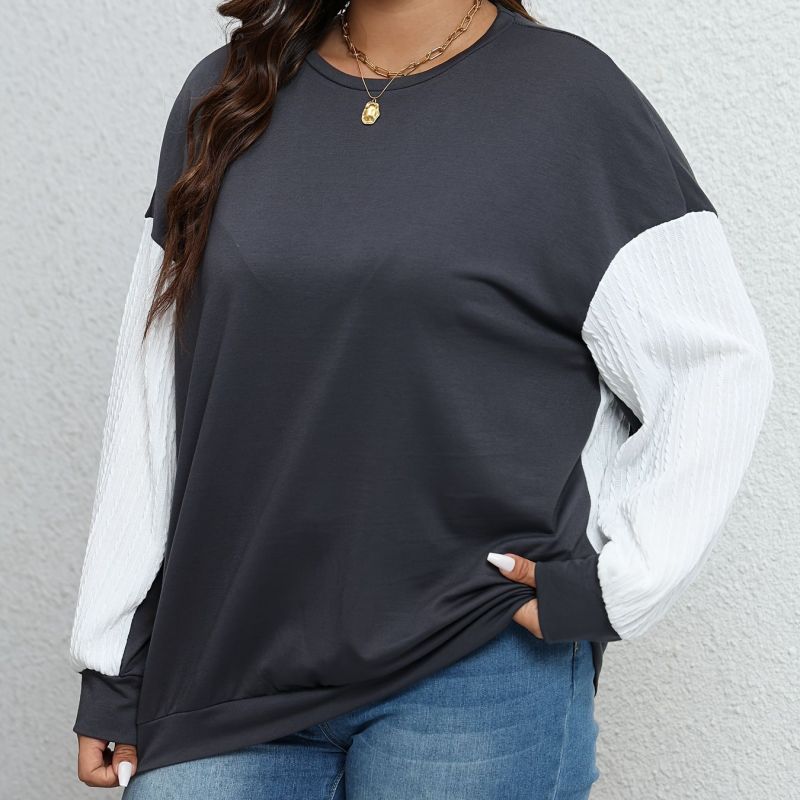Two-Tone Contrast Sleeve Sweatshirt